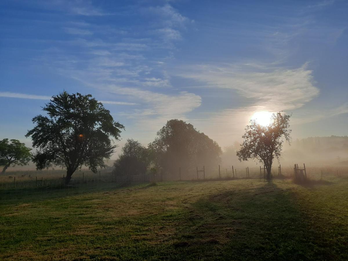Ferme Des Petites Oreilles 4 Etoiles Montignac-Lascaux Bagian luar foto