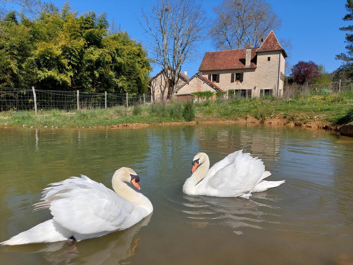Ferme Des Petites Oreilles 4 Etoiles Montignac-Lascaux Bagian luar foto