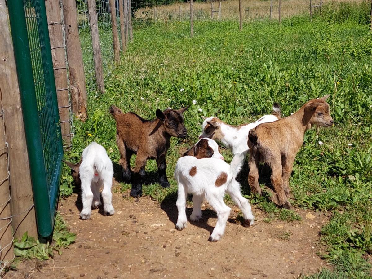 Ferme Des Petites Oreilles 4 Etoiles Montignac-Lascaux Bagian luar foto