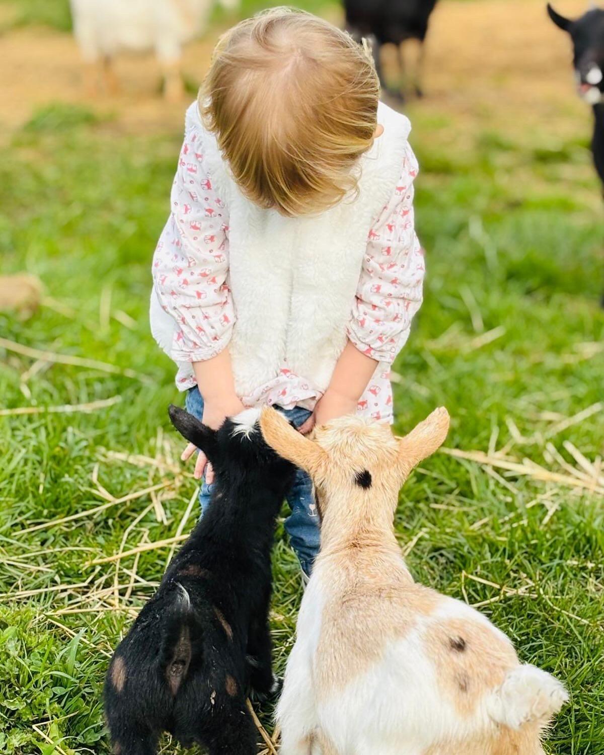 Ferme Des Petites Oreilles 4 Etoiles Montignac-Lascaux Bagian luar foto